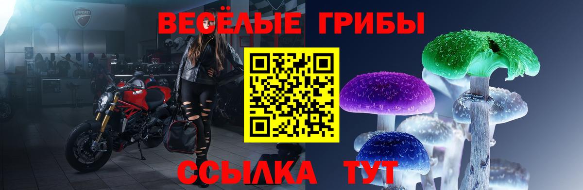 Псилоцибиновые грибы прущие грибы  Вход с VPN  Псилоцибиновые грибы GOLDEN TEACHER  Бугульма 